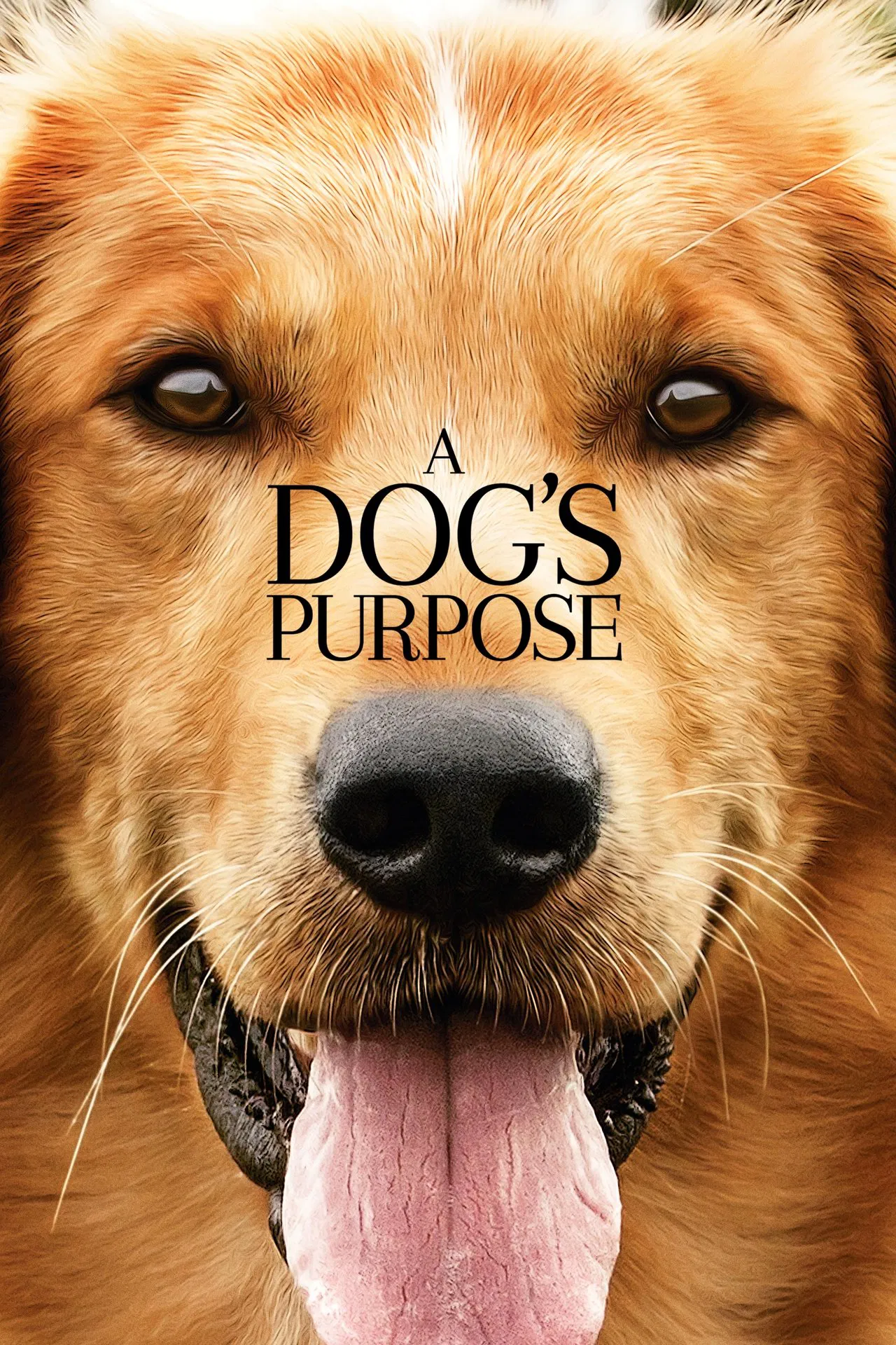 A Dog’s Purpose (2017) หมา เป้าหมาย และเด็กชายของผม ซับไทย