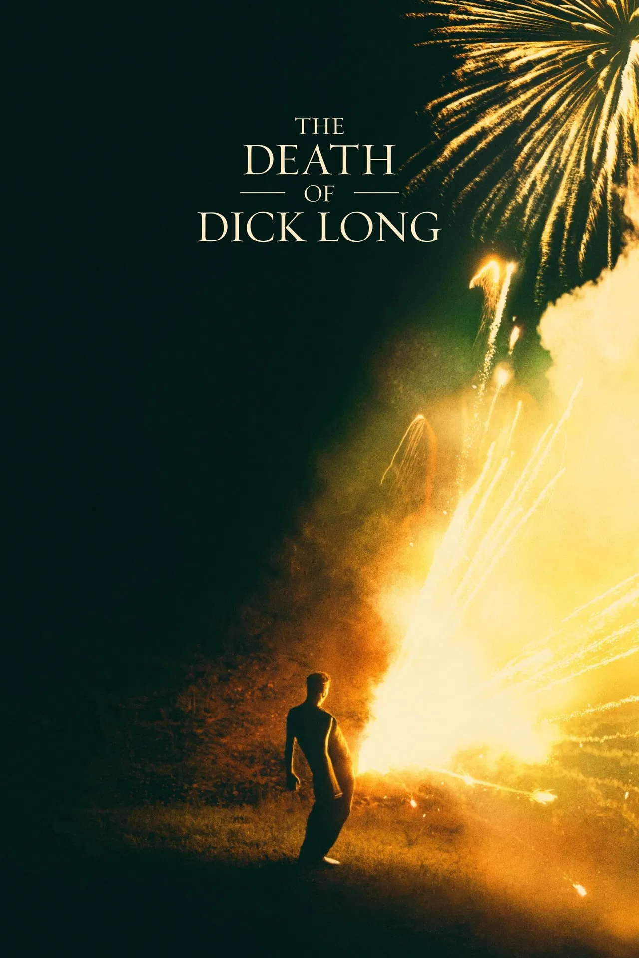 The Death of Dick Long (2019) ซับไทย