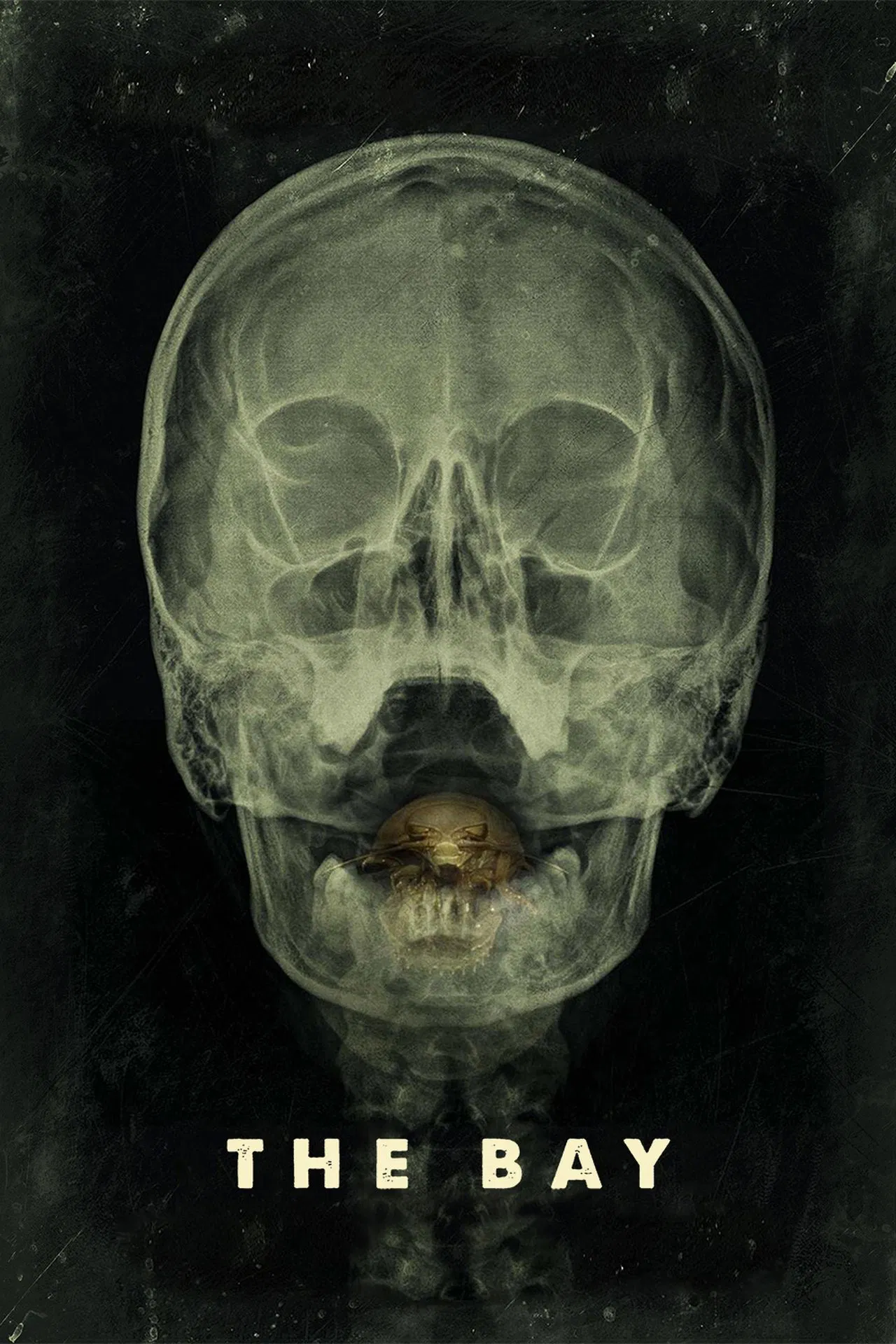 The Bay (2012) 24 ชม. แพร่พันธุ์สยอง พากย์ไทย