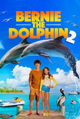 ดูหนัง Bernie the Dolphin 2 (2019) เบอร์นี่ โลมาน้อยหัวใจมหาสมุทร 2 [Full-HD]