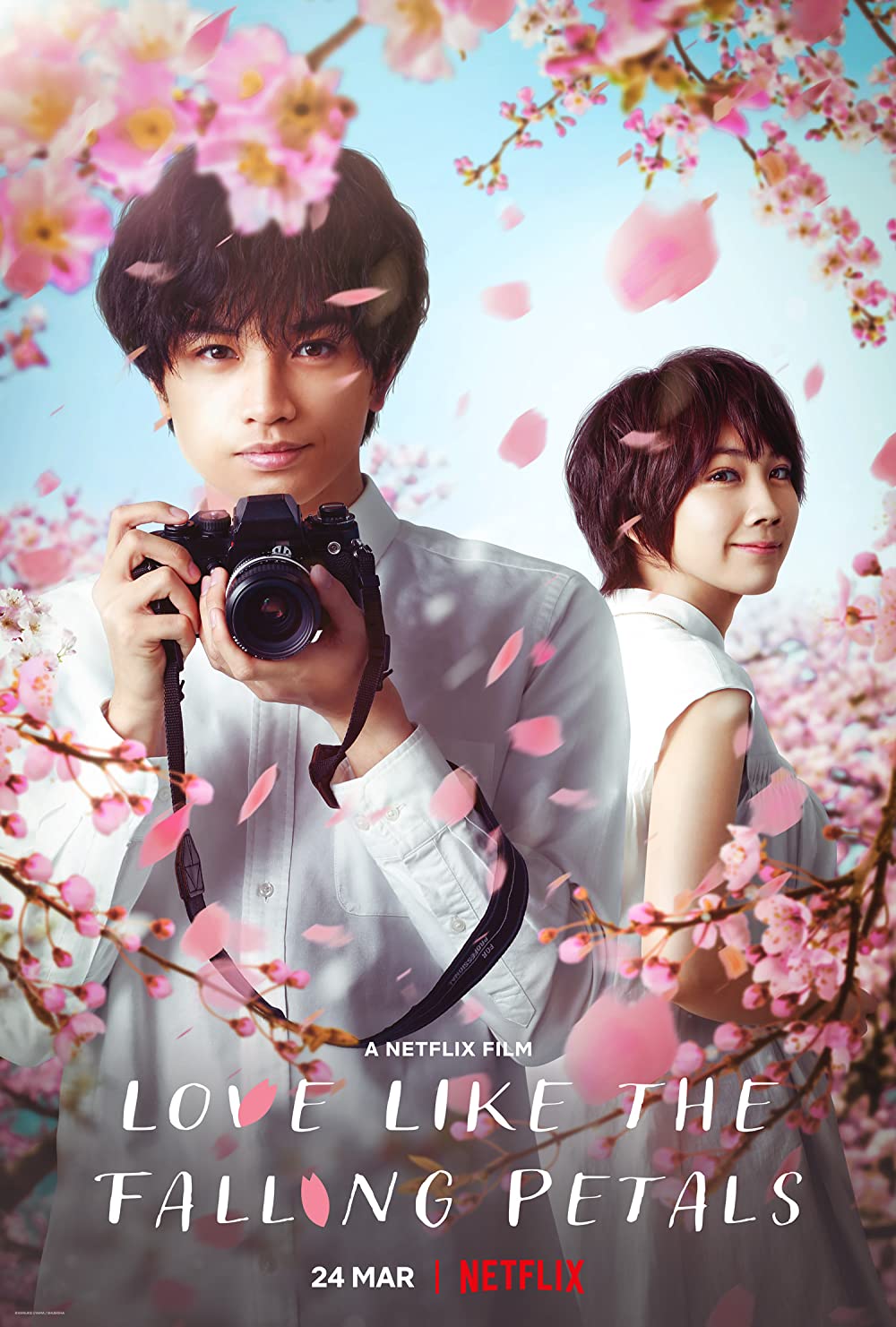 ดูหนัง Love Like the Falling Petals (2022) ใบไม้ผลิที่ไม่มีเธอเป็นซากุระ [Full-HD]