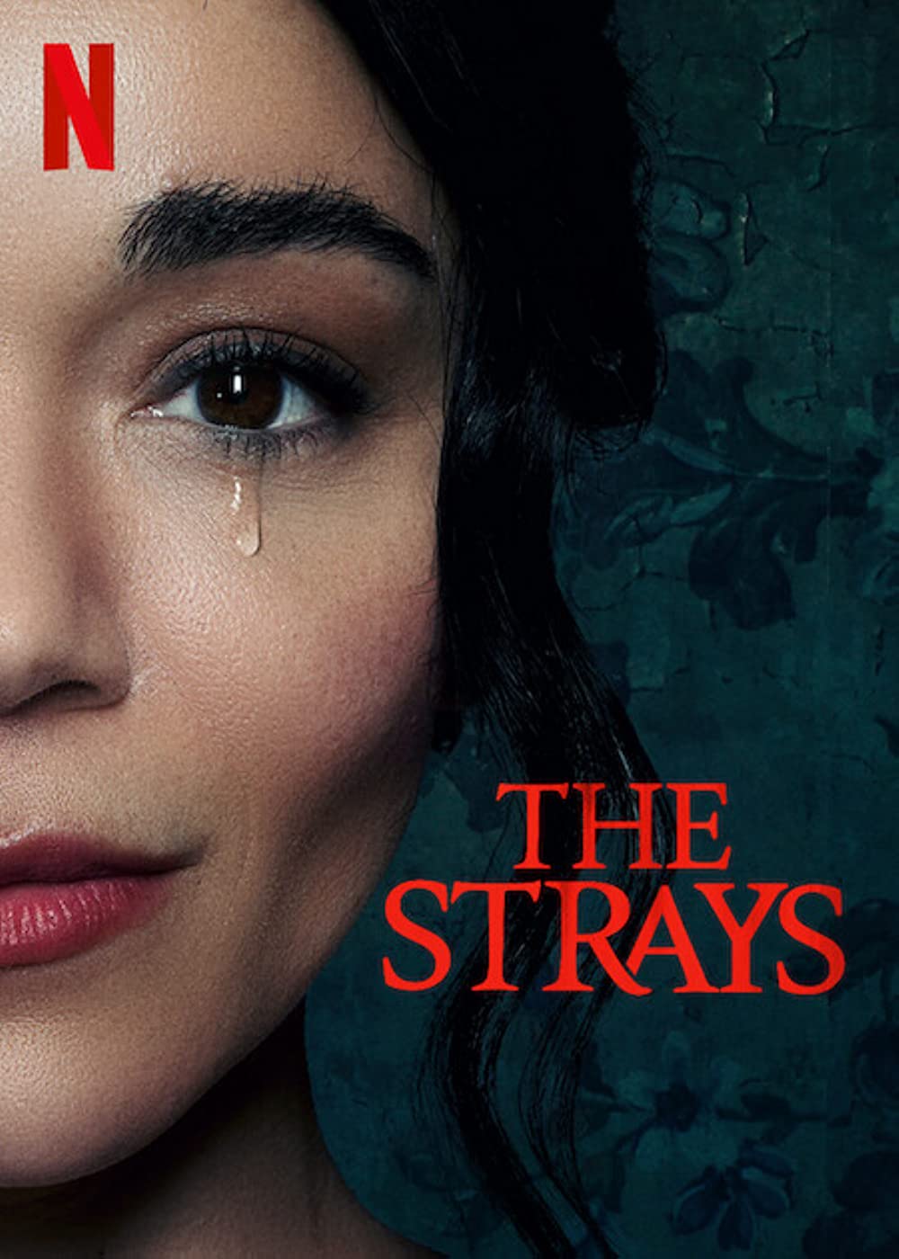 ดูหนัง The Strays (2023) คนหลงทาง [Full-HD]