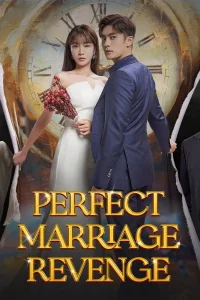 Perfect Marriage Revenge วิวาห์รัก กับดักลวงแค้น พากย์ไทย