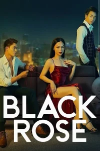 Black Rose (2023) กุหลาบสีดำ ซับไทย