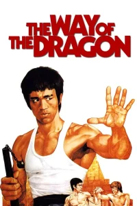 The Way Of The Dragon (1972) ไอ้หนุ่มซินตึ๊ง บุกกรุงโรม พากย์ไทย