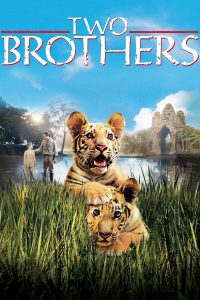 ดูหนัง Two Brothers (2004) พี่น้องสองเสือ