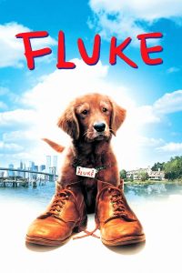ดูหนัง Fluke (1995) เกิดใหม่กลายเป็นหมา