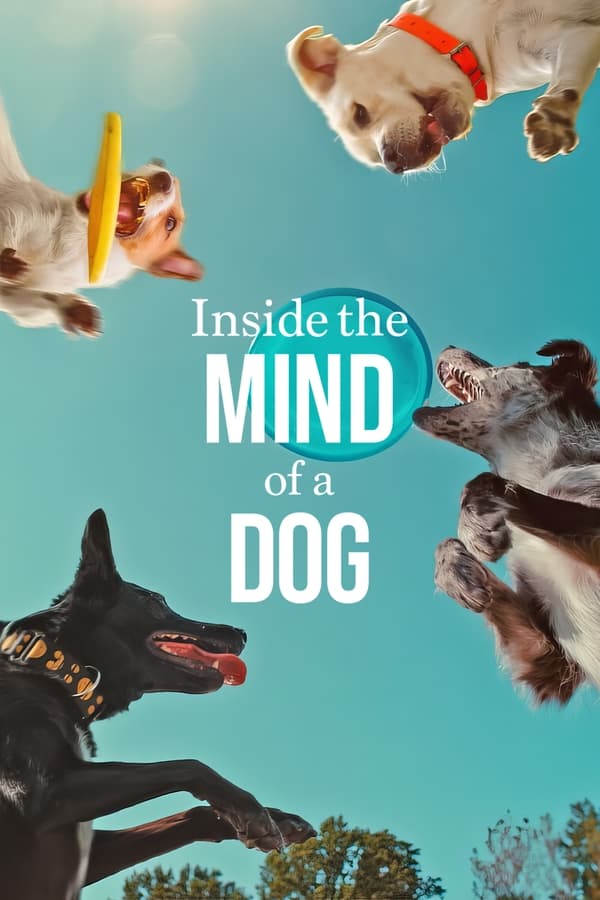 สารคดี Inside the Mind of a Dog (2024) อ่านใจสุนัข