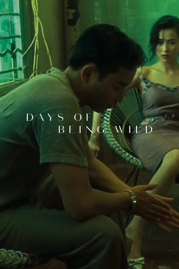 Days of Being Wild (1990) วันที่หัวใจรักกล้าตัดขอบฟ้า