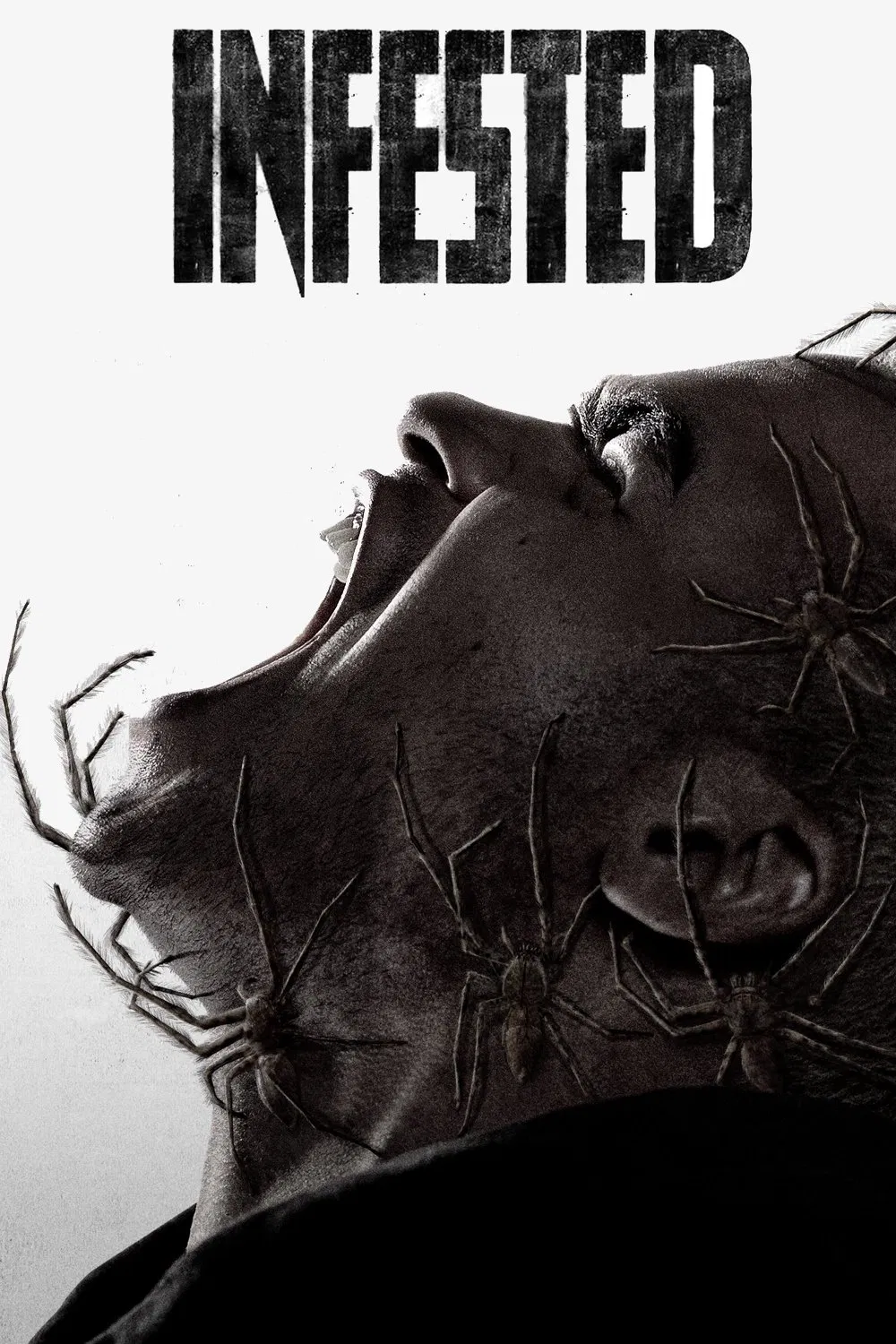 Infested (2023) ฝูง 8 ขากับดักสยอง พากย์ไทย