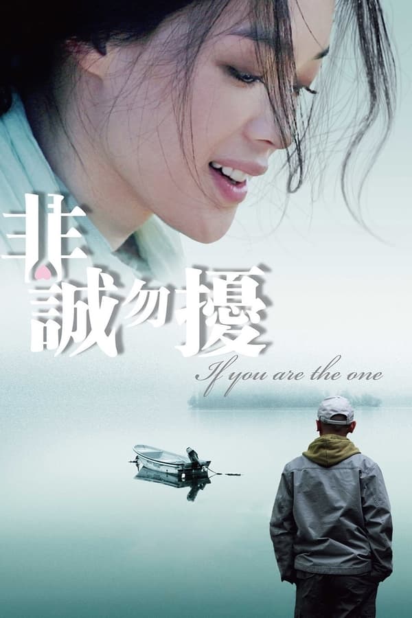 If You Are the One (2008) ผิดรักหัวใจหลงลึก (ซับไทย)