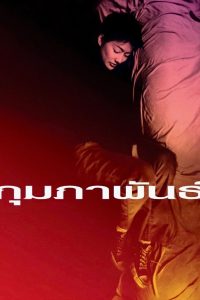 February (2003) กุมภาพันธ์ พากย์ไทย