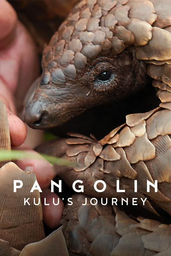 Pangolin Kulu’s Journey (2025) การเดินทางของคูลู ซับไทย