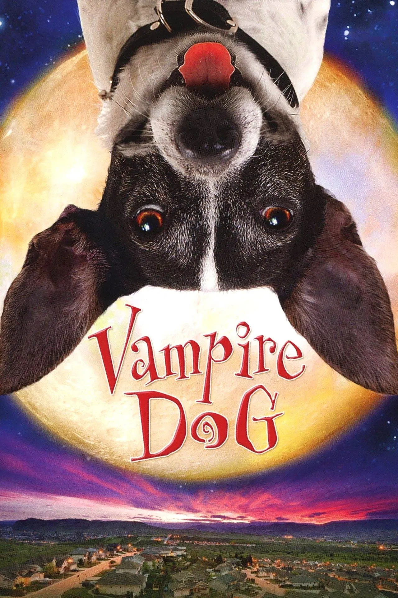 Vampire Dog (2012) คุณหมาแวมไพร์ พากย์ไทย