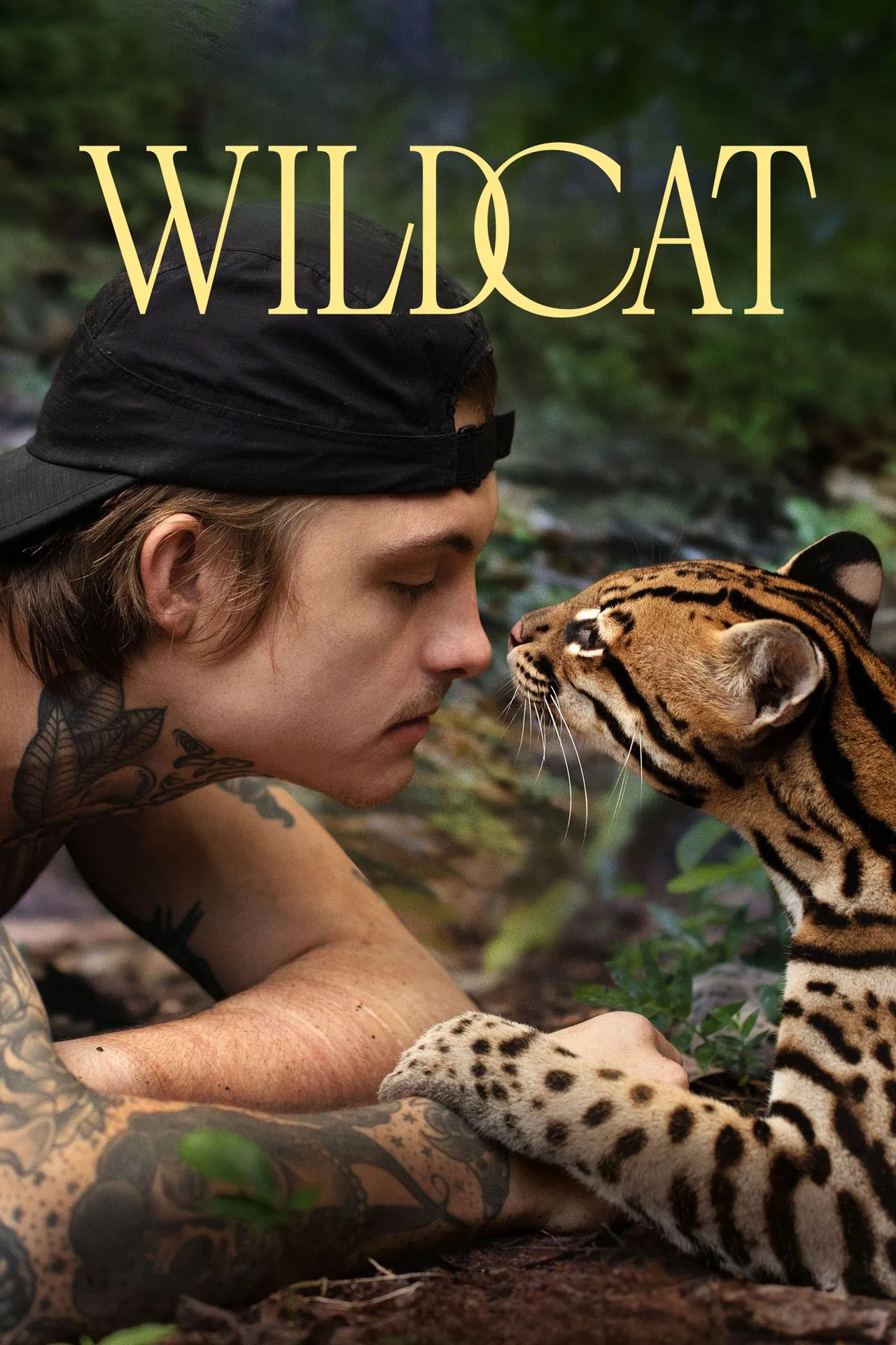 Wildcat (2022) ไวลด์แคต ซับไทย