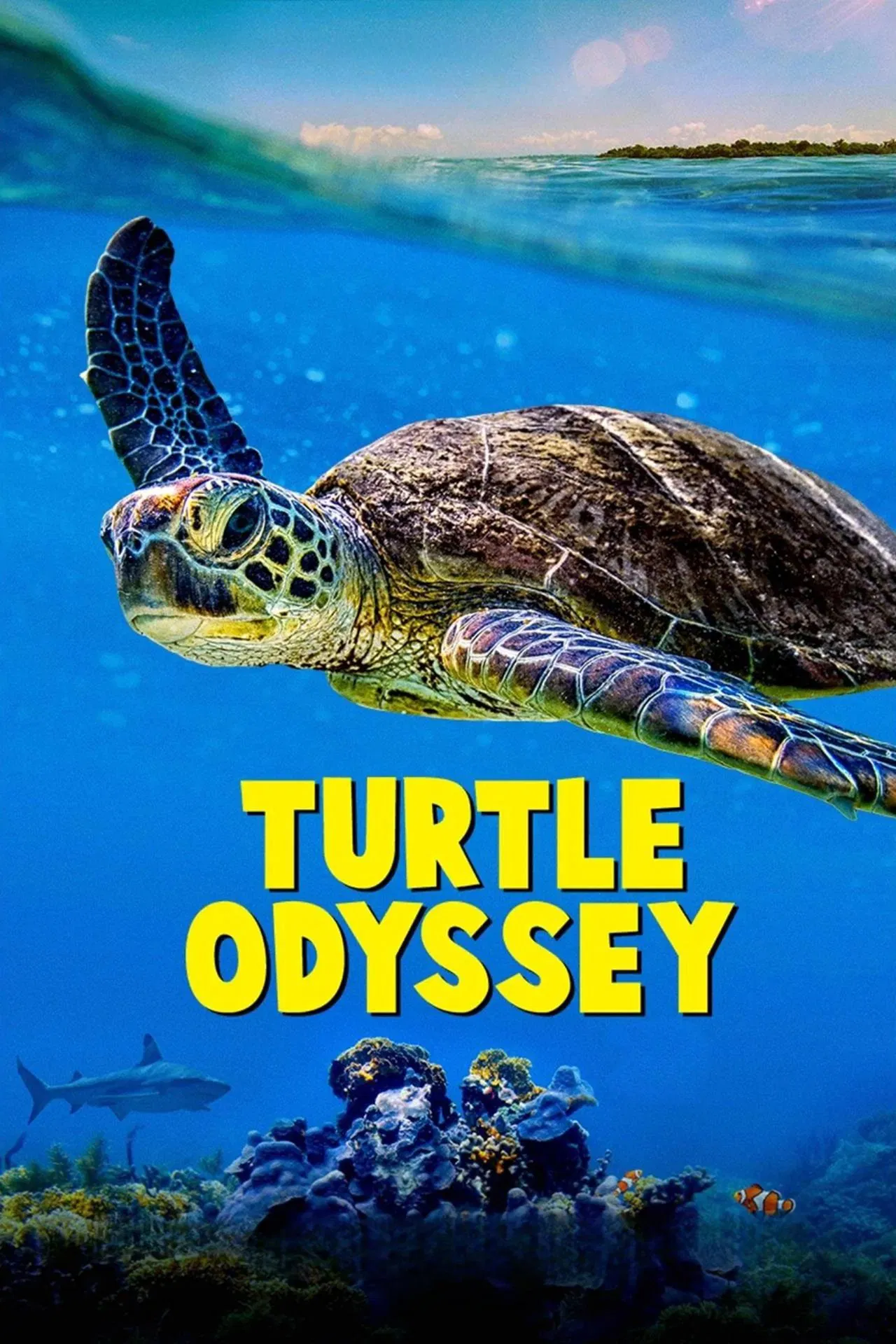 Turtle Odyssey (2018) เต่าน้อยผจญภัย ซับไทย