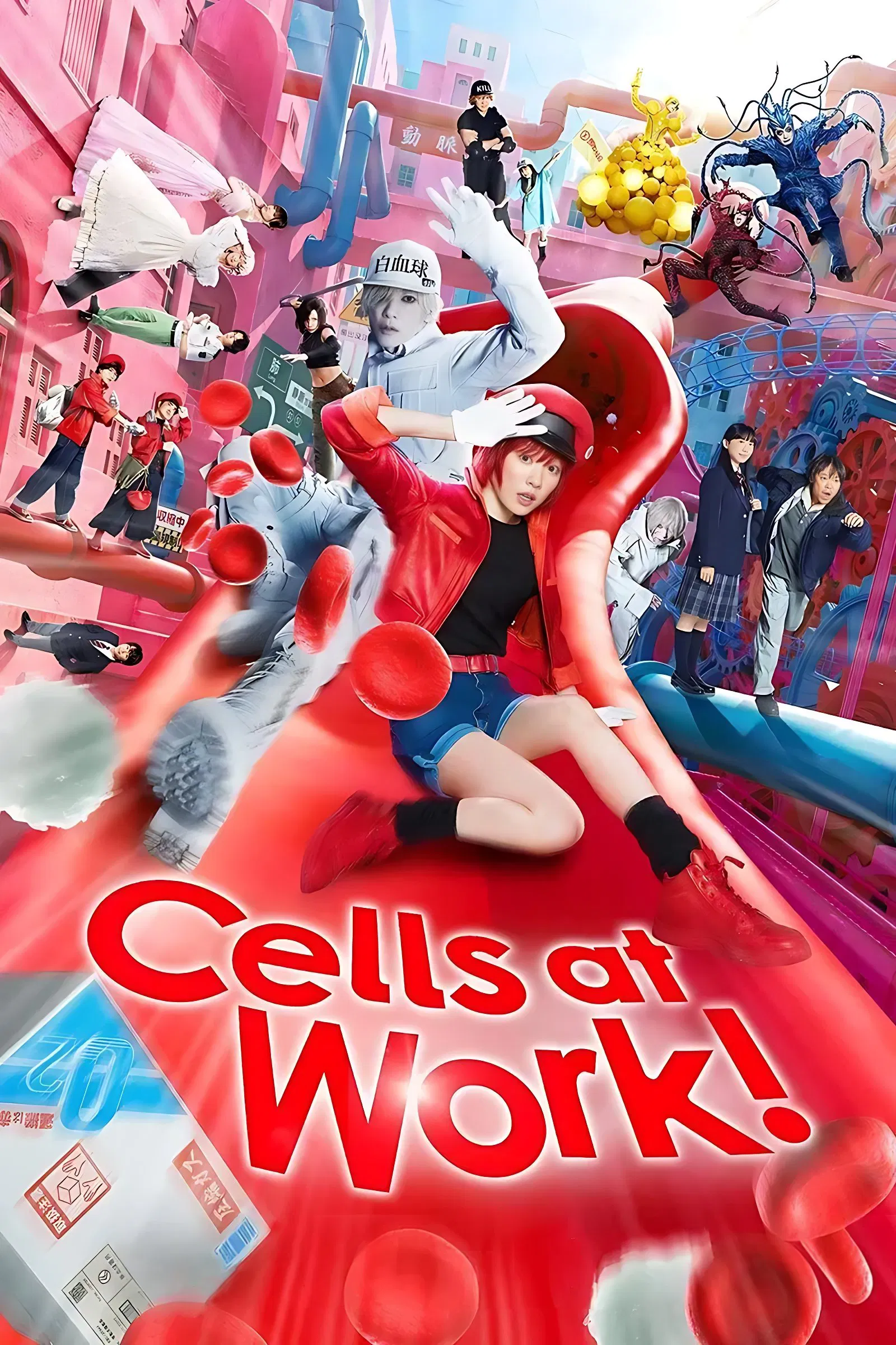 Cells at Work (2024) เซลล์ขยันพันธุ์เดือด พากย์ไทย/ซับไทย