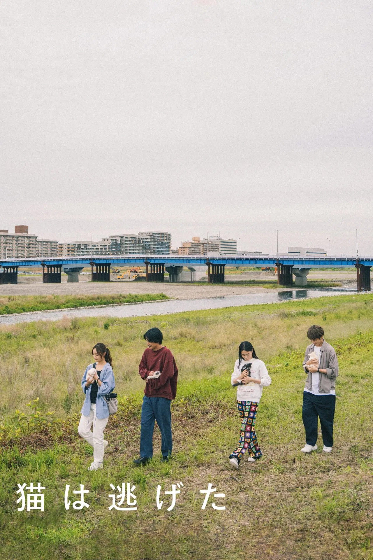 Straying (Neko wa Nigeta) (2022) ซับไทย