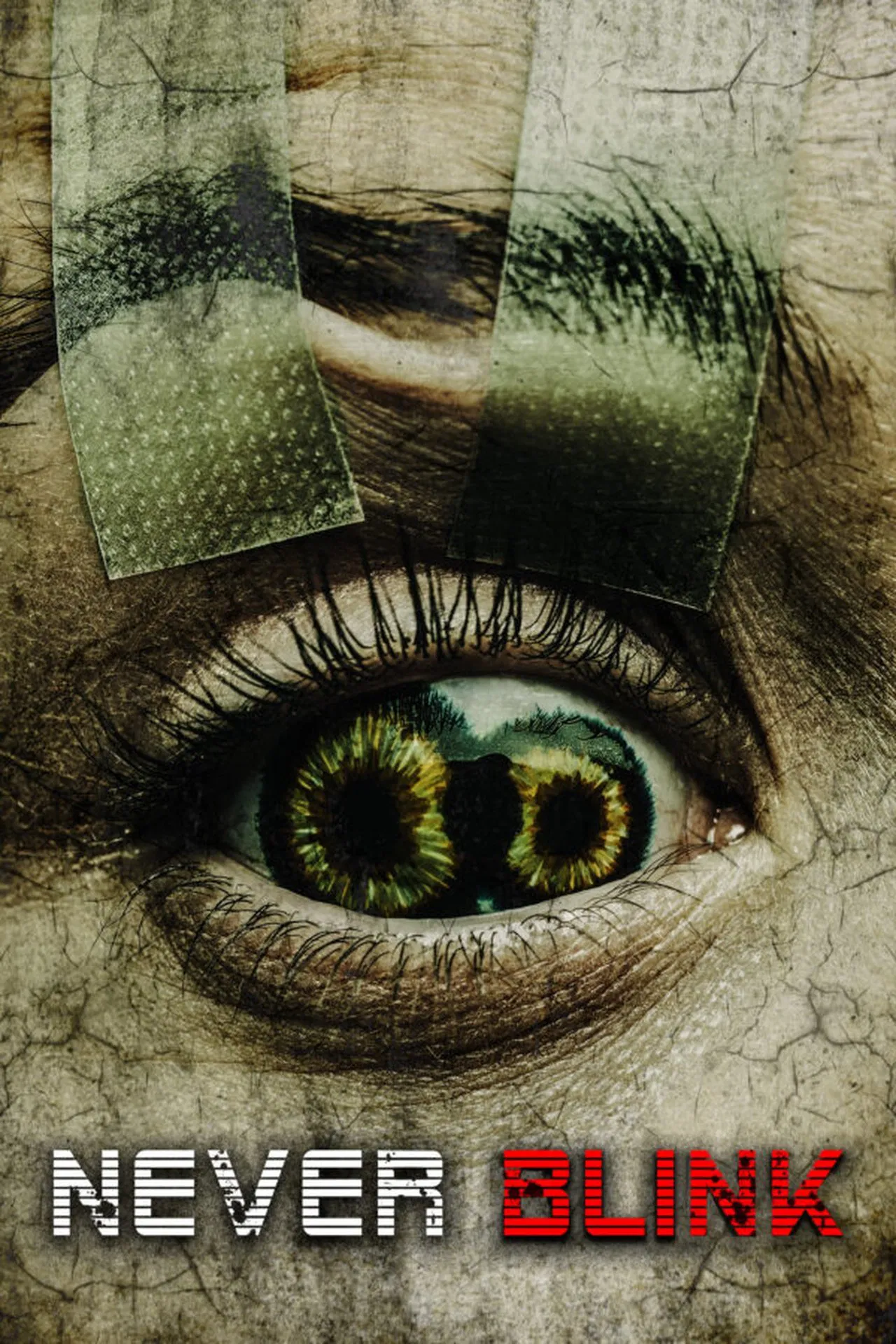 Never Blink (2025) ซับไทย