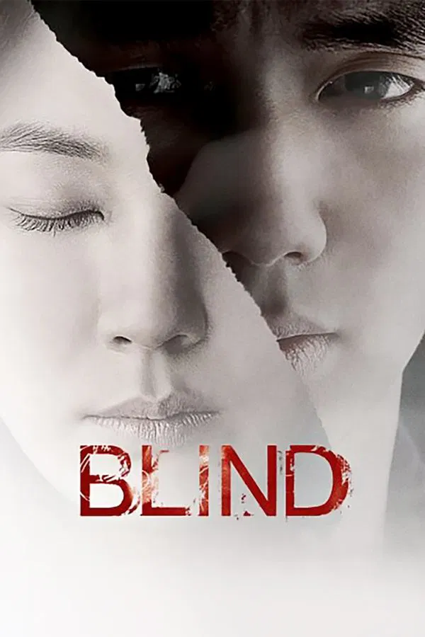 Blind (2011) พยานมืดปมมรณะ พากย์ไทย