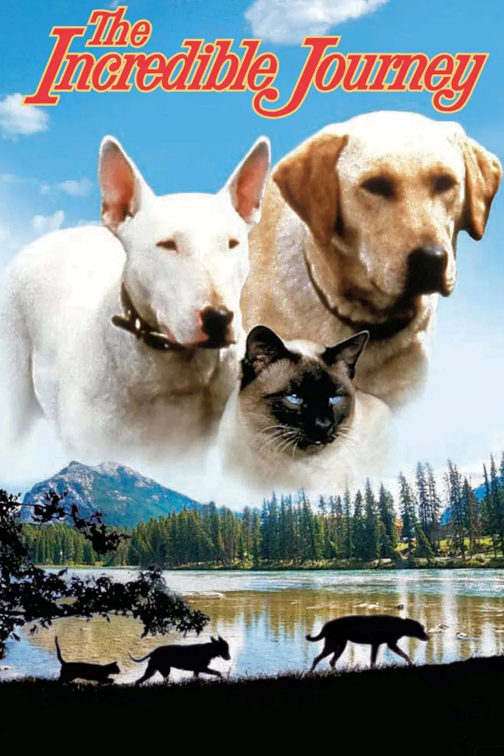 The Incredible Journey (1963) ซับไทย